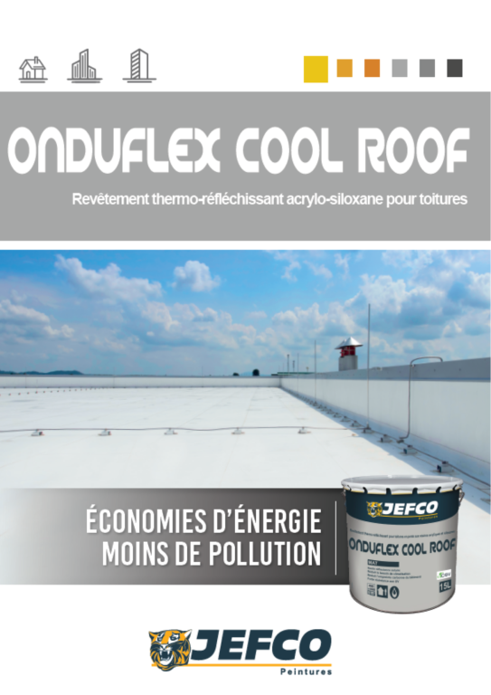 Cool Roof : la peinture réfléchissante qui rafraîchit vos toitures en Loire-Atlantique